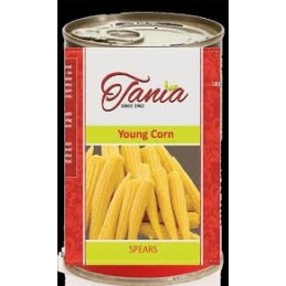 Tania - Young Corn 425g