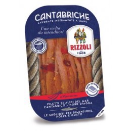 RIZZOLI CANTA ANCOV/CHILL40G