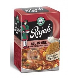 RAJAH CURRY ALL-IN-ONE 50g