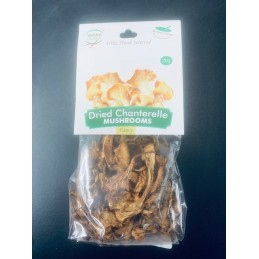 VP MUSHROOMS DR CHANTER 30G