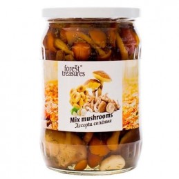 Forest Treasures Asst Wild...